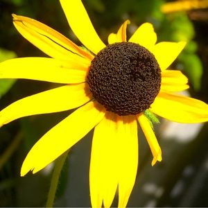 Meet your Posher, Cg